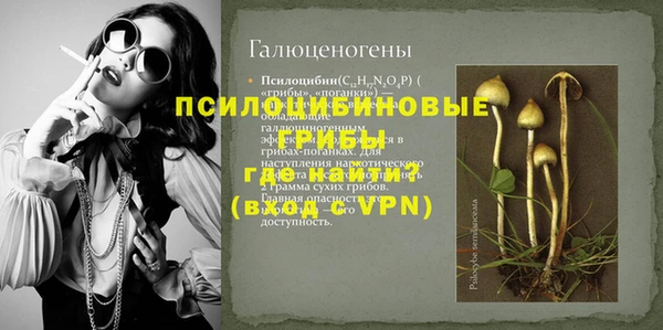 apvp Лиски