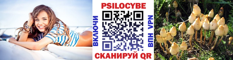 Галлюциногенные грибы GOLDEN TEACHER  Купить  Краснокаменск 